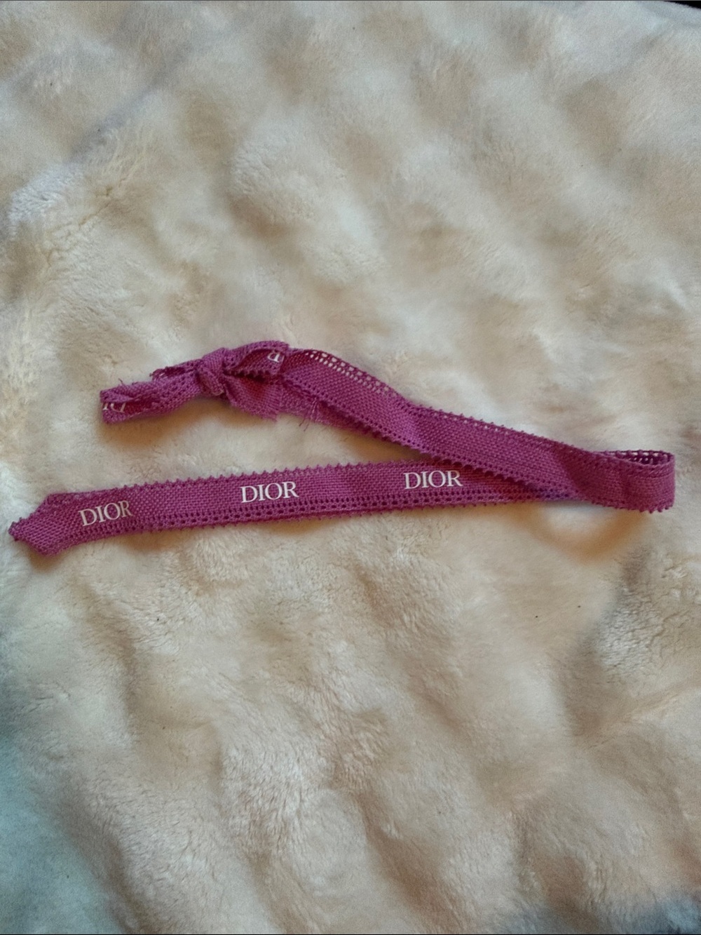 Dior Logo Ribbon